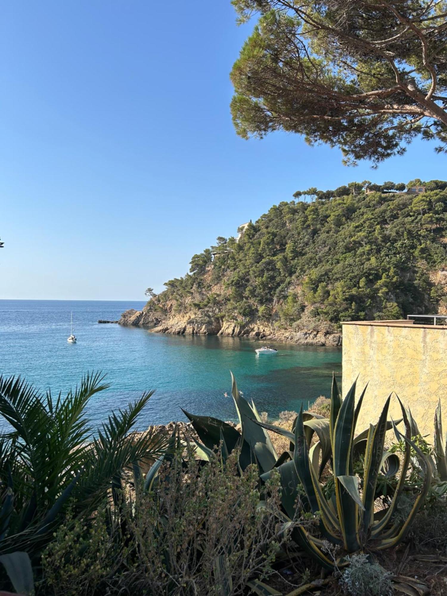 La Calypso Apartment Cavalaire-sur-Mer Exterior photo